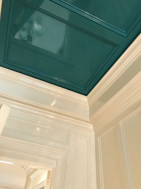 Fine Paints Of Europe Dutch Enamels | Gregory's Paint and Flooring Powder Room Paint, Millwork Wall, Fine Paints Of Europe, Lacquered Walls, Ceiling Trim, Hus Inspiration, Level Homes, Painted Ceiling, Enamels