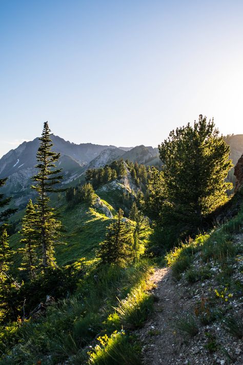 Hiking Telluride Colorado Alta Utah, Life In Paradise, Telluride Colorado, What A Beautiful World, Utah Usa, Pretty Landscapes, Colorado Travel, Pretty Places, Landscape Photographers