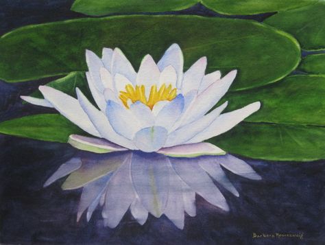 David Wilcock Reflection of a water lily - stunning! Description from pinterest.com. I searched for this on bing.com/images Water Lilies Art, Water Lily Flower, Water Lilies Painting, Flowers Paintings, Lily Painting, Flower Painting Canvas, Easy Flower, Flower Watercolor, Oil Painting Flowers