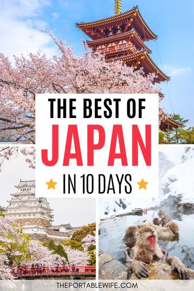 Osaka Itinerary, Japan Honeymoon, Places To Visit In Japan, Japan Travel Destinations, Japan Holidays, Tokyo Japan Travel, Japan Itinerary, Mont Fuji, Japan Vacation