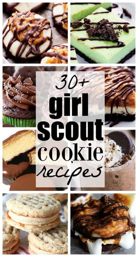 Girl Scout Cookie Recipes, Amazing Cookie Recipes, The Recipe Critic, Recipe Critic, Mint Recipes, Mint Cookies, Recipe Girl, Girl Scout Cookies, Köstliche Desserts