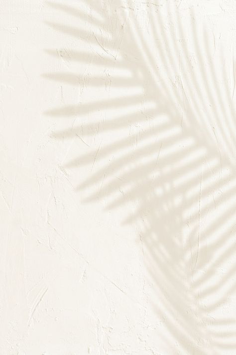 Palm Leaf Shadow, Pinterest Background, Palm Shadow, Leaves Wallpaper Iphone, Leaf Shadow, Palm Leaf Design, Minimalist Lighting, Leaves Design, 背景 シンプル