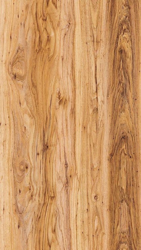 Pola Cat Dinding, Oak Wood Texture, Veneer Texture, Wood Texture Seamless, Diy Woodworking Projects, Floor Texture, Wood Texture Background, Wood Tile Floors, Wooden Texture