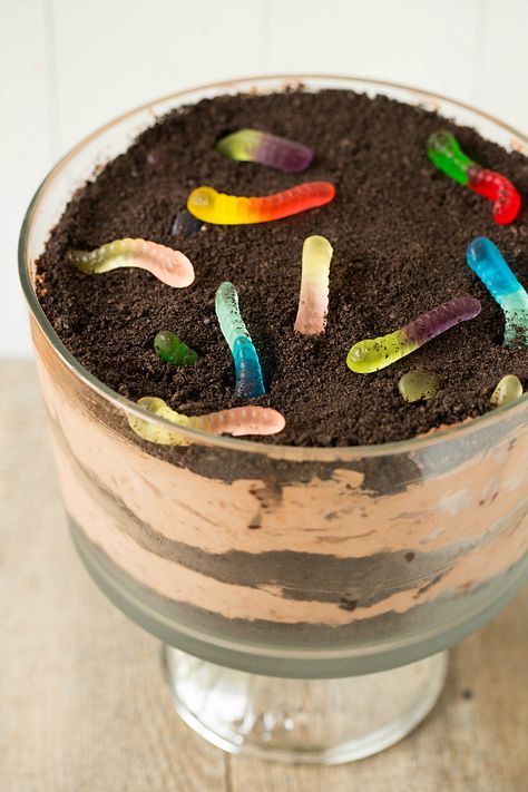 Mud pie! The ingredients are oero cookies, chocolate pudding, and gummy worms! Dirt Dessert Recipe, Dirt Dessert, Dirt Cake Recipes, Dirt Pudding, Coconut Dessert, Dirt Cake, Brownie Desserts, Oreo Dessert, Think Food