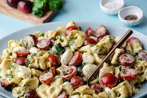 Italian Vegetarian Recipes, Prime Rib Recipe Easy, Pesto Tortellini Salad, Leftover Prime Rib Recipes, Vegan Meatballs Recipe, Pesto Lasagna, Pasta Fagioli Recipe, Fresh Tomato Pasta, Savory Meatballs