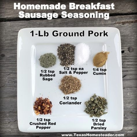 Diy Sausage Recipes Seasoning Mixes, How To Make Sausage Out Of Ground Pork, Season Ground Pork For Sausage, Homemade Ground Pork Sausage, Making Breakfast Sausage From Ground Pork, Seasoned Pork Sausage Recipes, Ground Pork Into Sausage, Diy Pork Sausage, Seasonings For Breakfast Sausage