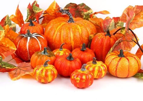 These Foam Pumpkins are excellent for crafting. They come in different colors too. The orange is nice if you want to put fake flower and leaf combinations poking through the top like a bouquet. I like to set them as centerpieces on the table and sometimes on the front stoop as well. They orange is more decorative already, but you can still paint them with acryllic paint too! Orange Photography, Biggest Pumpkin, Large Pumpkins, Fake Pumpkins, Fall Art Projects, Orange Table, Plastic Pumpkins, Artificial Pumpkins, Foam Pumpkins