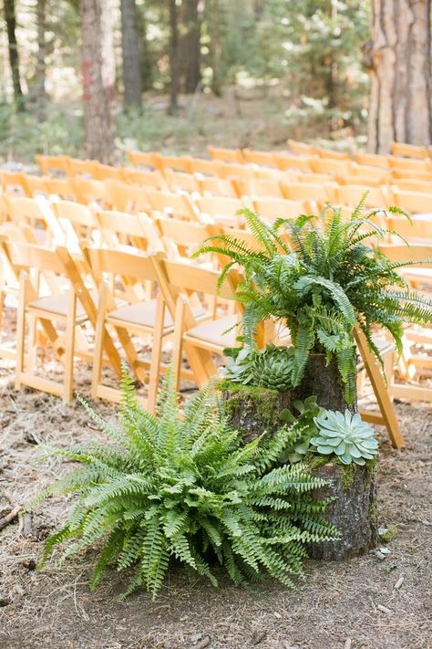 Fern Wedding, Succulent Display, Deco Champetre, Boda Mexicana, Budget Friendly Wedding, Succulent Wedding, Aisle Decor, Wedding Aisle, Woodland Wedding