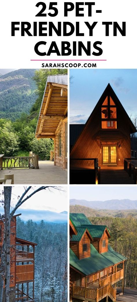 🌲🐾 Explore 25 pet-friendly cabins in Tennessee's serene Smoky Mountains! Unforgettable adventures and comfort for all. 🏞️ #PetFriendlyTravel #SmokyMountains #CabinLife" Tennessee Cabins, Mountains Tennessee, Smoky Mountains Tennessee, Mountain Destinations, Here's The Scoop, Great Smoky Mountains National Park, A Cabin, Smoky Mountain, Cabin Life