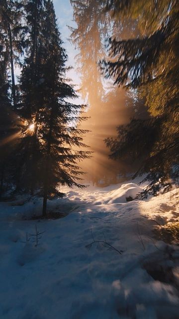 Flo.FPV on Instagram: "🌲❄🌄 Winter brings a magical silence to the forest, 🌲 time seems to stand still. Do you like winter? #snow #winter #sunset #forest #beautifulnature #sunbeams" Winter Forest Photography, Winter Season Aesthetic, Book Locations, Snow Magic, Mansion Aesthetic, Background References, White Wallpapers, Forest Village, Pretty Views