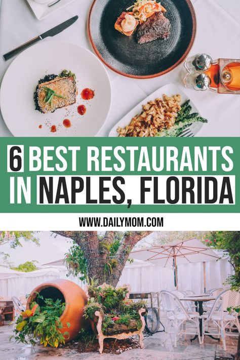 6 Best Restaurants In Naples, Florida Florida Naples, Things To Do In Naples, Naples Pier, Naples Beach, Florida Travel Guide, Florida Food, Florida Restaurants, Kissimmee Florida, Florida Hotels