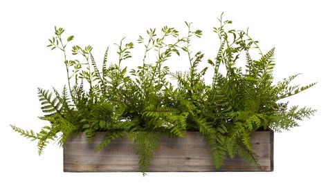 Wall Hanging Mix Fern in Long Wood Box Tree Plan Photoshop, Long Wood Box, Landscape Architecture Graphics, Greek Decor, Urban Design Diagram, Tree Plan, Urban Landscape Design, Hanging Plant Wall, Balcony Plants