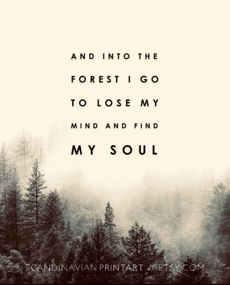 And into the forest I go to lose my mind and find my soul Into The Forest I Go, Into The Forest, Scandinavian Print, Forest Art, Nature Quotes, Lose My Mind, Travel Quotes, The Words, Great Quotes