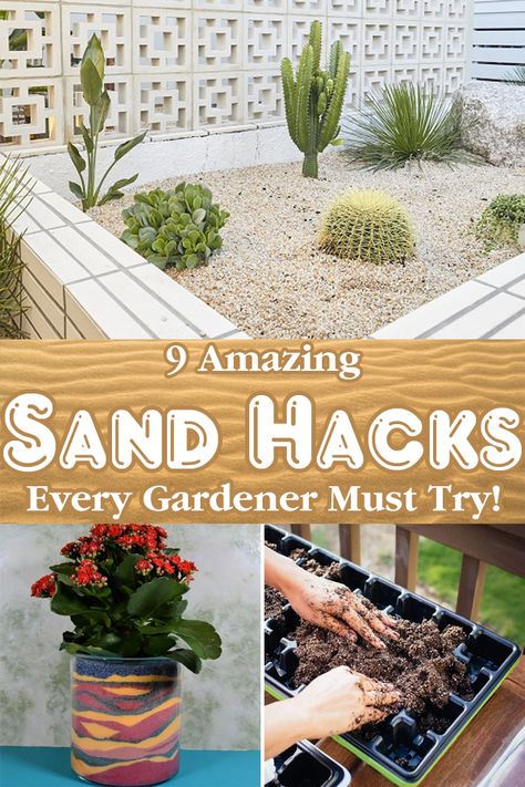 Here are some Amazing Ways to Use Sand in the Garden that will make your yard chores a lot more easier! Try them today! Landscaping Sand, Sand Zen Garden, Planting In Sandy Soil, Clean Garden Tools, Japanese Garden Plants, Zen Sand Garden, Garden Mulch, River Rock Garden, Narrow Garden