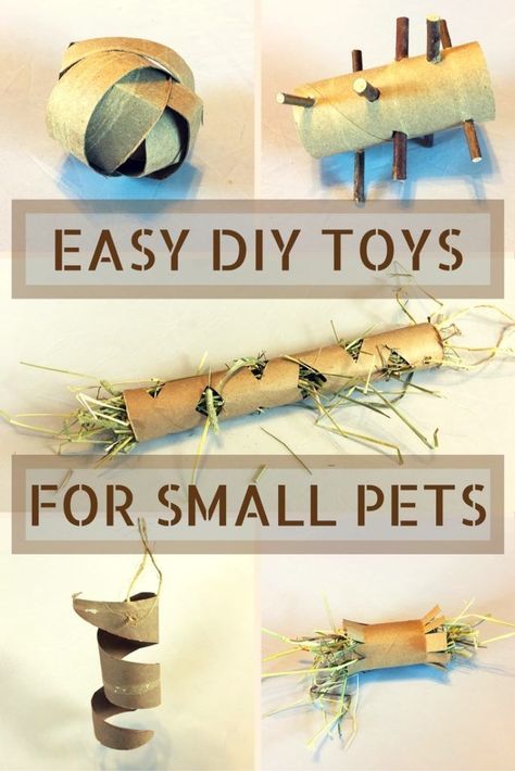 Diy Guinea Pig Toys, Diy Bunny Toys, Diy Toilet Paper, Guinea Pig Diy, Hamster Diy, Pet Rabbit Care, Grafika Vintage, Rabbit Treats, Guinea Pig (toy)