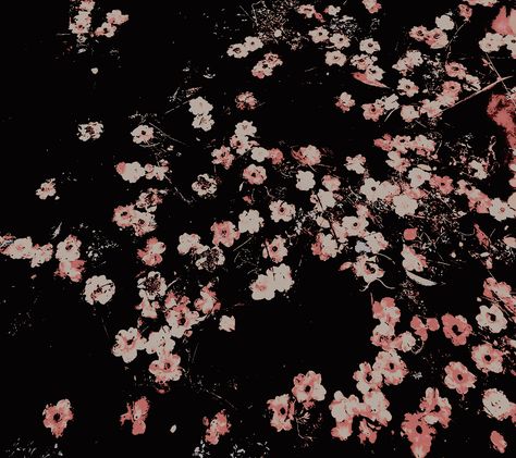 Black And Peach Aesthetic, Peach And Black Aesthetic, Peach Black Aesthetic, Dark Flower Aesthetic Wallpaper Desktop, Pink Black Flowers Aesthetic, Cherry Blossom Aesthetic Dark, Pink Flower Wallpaper Black Background, Black Flowers Wallpaper, Book Cover Background