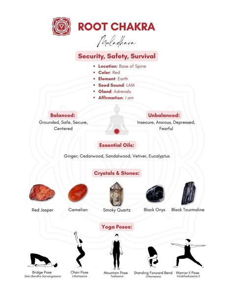 Aesthetic Chakra, Chakra Aesthetic, Chakra For Beginners, Root Chakra Yoga, Red Chakra, Chakra Chart, The Root Chakra, Muladhara Chakra, Chakra Healing Meditation