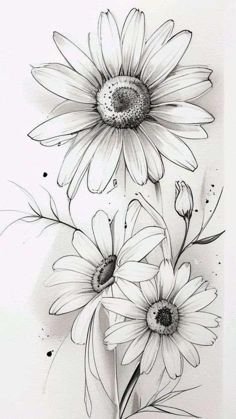 Flower Drawing Dandelion, Daisy Flower Drawing Step By Step, Drawing A Daisy, Daisy Pencil Drawing, Flower Line Drawing Botanical Illustration, Zinnia Flower Drawing, Gerbera Daisy Drawing, Black And White Daisy Tattoo, Simple Daisy Drawing