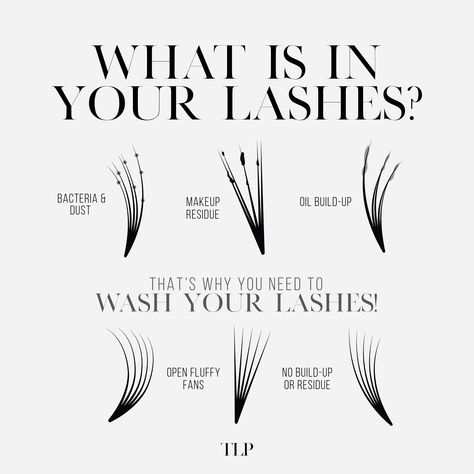 What is in your lashes?! 😳🫢 There is bacteria, dust, makeup residue, and oil build-up all in your lashes!! So they need to cleaned!! 🧼🫧 If not cleaned, your lashes won’t look as fresh and fluffy. Also, it affects your retention as well. 🫤 Not what you want!! #lashtips #lashaftercare #lashtech #lashartist #lashextensions #lashcare Lash Bath Aesthetic, Educational Lash Posts, Lash Educational Post, Lash Extension Posts, Lash Content Ideas, Lashtech Aesthetic, Lash Advice, Lash Extensions Aesthetic, Lash Retention Tips