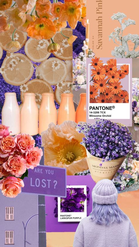 Peach And Lavender Aesthetic, Peach And Lavender Bedroom, Lilac Orange Wedding, Purple And Peach Aesthetic, Peach And Lavender Wedding, Peach Purple Wedding, Lilac Color Palette, Lavender And Peach, Lilac Decor