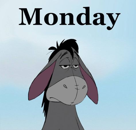 Made me giggle                                                       … Monday Mood Funny, Tuesday Mood, Eeyore Quotes, Eeyore Pictures, Monday Humor Quotes, Monday Memes, Monday Humor, Fina Ord, 디즈니 캐릭터