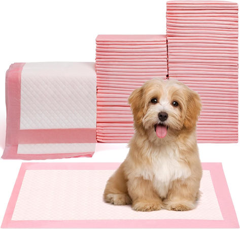 Pet Toilet Training Pads 100Count Disposable Puppy Pee Pads 18" x 13" for Dogs, Ultra Absorbent|Quick Dry|Leak-Proof Pet Potty Pads for Dog, Cat, Rabbits and Guinea Pigs (Pink) Pee Pads For Dogs, Puppy Dachshund, Puppy Pads Training, Dog Pee Pads, Potty Pads, Dog Potty Training, Pink Puppy, Potty Training Puppy, Puppy Pads