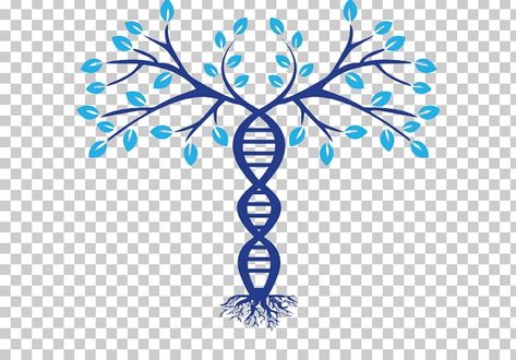 Phylogenetic Tree, Dna Genealogy, Tree Png, Photoshop Painting, Family Trees, Family Tree, Genealogy, Color Trends, Mood Board