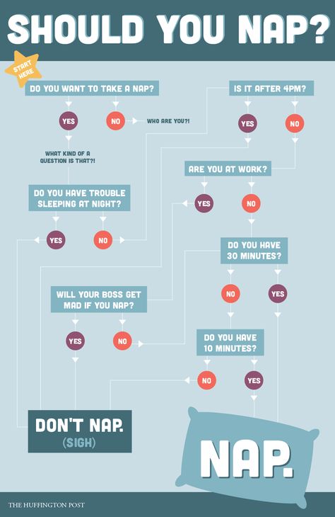 How To Tell If It's Time For A Nap In One Simple Chart Simple Chart, Calendula Benefits, Sleep Health, Power Nap, Trouble Sleeping, Flow Chart, Take A Nap, Health Problems, Better Sleep