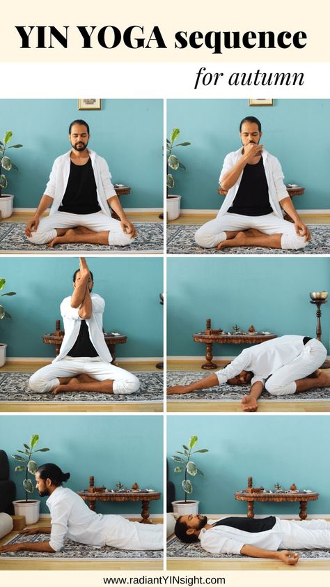 Restorative Yin Yoga, Yin Poses, Beginning Yoga, Yin Yoga Sequence, Yoga Time, Yoga Sequence, Yoga Times, Restorative Yoga, Yoga Room