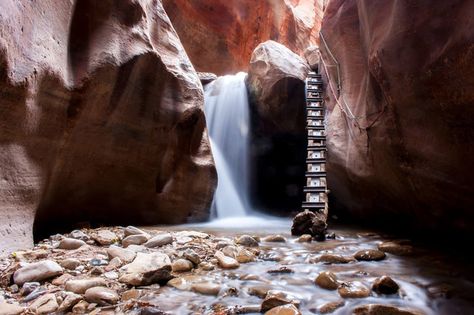 5 Family Friendly Hikes near Cedar City Utah Summer Bucket List, Utah Shakespeare Festival, Cedar City Utah, Utah Vacation, Utah Adventures, Utah Hikes, Cedar City, Utah Travel, Fall Hiking