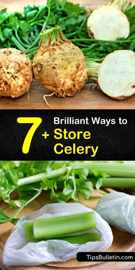 How To Store Grapes, Store Celery, How To Freeze Celery, How To Store Celery, Pickled Celery, Preserving Vegetables, Canning Vegetables, Filling Dinner, Lean Belly Juice