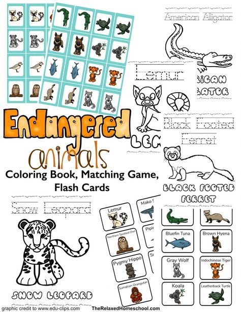 Worksheets All About Endangered Animals - Homeschool Giveaways Endangered Species Activities, Endangered Animals Activities, Environment Activities, Relaxed Homeschooling, Free Homeschool Resources, Animals Printable, Unit Studies, Homeschool Printables, Animal Activities