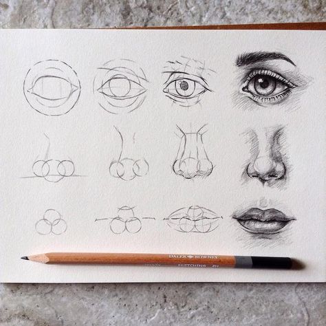 Artist Shares Drawing Tips in Educational Step-by-Step Tutorials Realistic Eye Drawing, Eye Drawing Tutorials, Výtvarné Reference, Drawing Eyes, Nose Drawing, Illustrator Design, Drawing Faces, 인물 드로잉, Ink Drawings