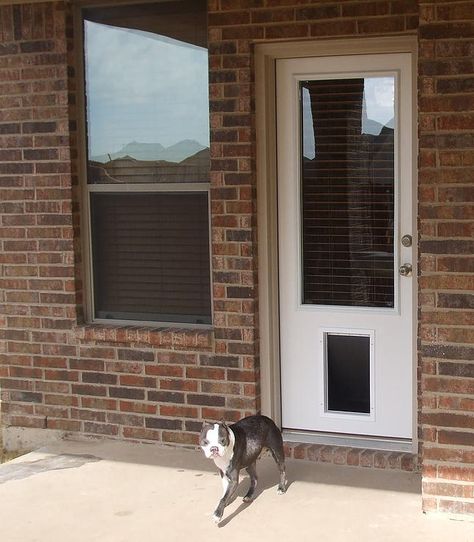 PET READY DOORS Door With Dog Door, Best Dog Door, Large Dog Door, Aluminum Screen Doors, Metal Doors Exterior, Dog Doors, Aluminum Screen, Pet Doors, Wood Exterior Door