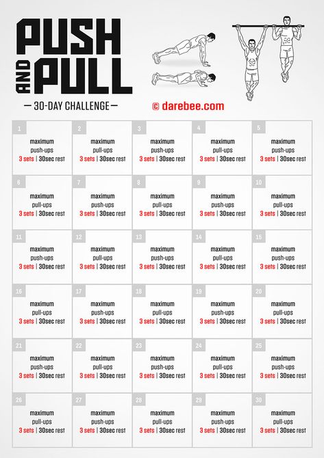 Push & Pull Challenge Beginner Pull Ups, 30 Day Push Up, Pull Up Challenge, Challenges Fitness, Pull Up Workout, Leg Challenge, Push Pull Legs, Push Up Workout, Weekly Workout Plans