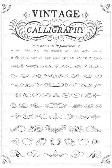 Filagree Drawings, Lettering Layout, Camp Projects, Vintage Calligraphy, Flourish Calligraphy, Boho Clipart, Whiskey Bottles, Calligraphy Fonts Alphabet, Lettering Styles Alphabet