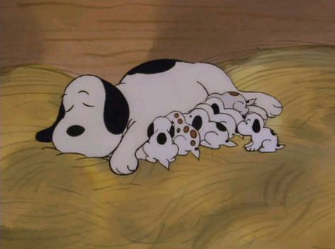 From Snoopy's Reunion: Snoopy as a puppy with his siblings and his mother at the Daisy Hill Puppy Farm. Description from pinterest.com. I searched for this on bing.com/images Charlie Brown Y Snoopy, Charles Shultz, Snoopy Family, Pocket Beagle, Woodstock Snoopy, Baby Snoopy, Peanuts Comic Strip, Cute Beagles, Peanuts Cartoon