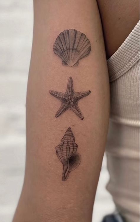 Fineline Shell Tattoo, Fineline Tattoo Ideas, Beachy Tattoos, Tats Ideas, Starfish Tattoo, Mum Tattoo, Tattoo Fine Line, See Tattoo, Cowgirl Tattoos