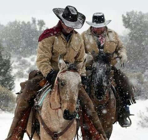 Cowboy Photography, Cowboy Pictures, Western Artwork, Western Photography, Cowboy Aesthetic, Real Cowboys, Wilde Westen, Cowboy Horse, Western Riding