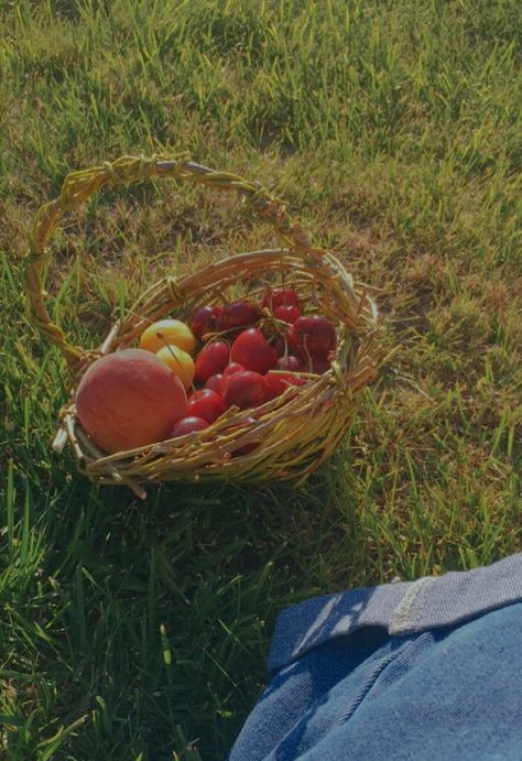 Fruit Orchard Aesthetic, Clay Kittens, Fruit Basket Aesthetic, Fruits Basket Aesthetic, Cottagecore Summer Aesthetic, Cottagecore Basket, Basket Cottagecore, Indie Cottagecore, Objectification Of Women