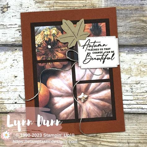 Stampin Up Autumn Harvest, Stampin Up Thanksgiving Card, Fall Cards Stampin Up Autumn 2023, Stampin Up More Than Autumn Stamp Set, Thanksgiving Stampin Up Card Ideas, Su All About Autumn Dsp, Stampin Up Autumn Expressions Cards, Su All About Autumn, Stampin Up Pumpkin Cards