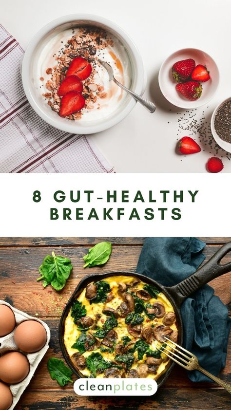 8 Gut-Healthy Breakfasts for a Happy Microbiome Microbiome Recipes, Healthy Gut Diet, Microbiome Diet, Healthy Gut Recipes, Rope Workout, Gut Healing Recipes, Gut Health Recipes, Healthy Microbiome, Healing Recipes