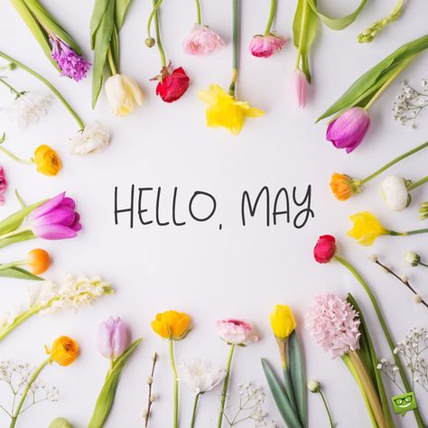 Hello May image with flowers. Springtime Quotes, Hello May Quotes, Hello Spring Wallpaper, Neuer Monat, Welcome May, May Quotes, Hello April, Hello March, Spring Quotes