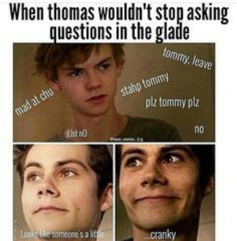 Newt X Reader, Maze Runner Scorch Trials, Runner Jokes, The Glade, Maze Runner Thomas, Maze Runner The Scorch, Maze Runner Trilogy, Maze Runner Funny, Maze Runner Cast