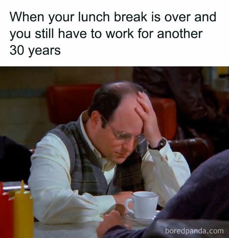 Workplace Humor, Office Life, Work Quotes Funny, Work Jokes, Office Humor, Hilarious Memes, Morning Humor, Work Memes, Lunch Break