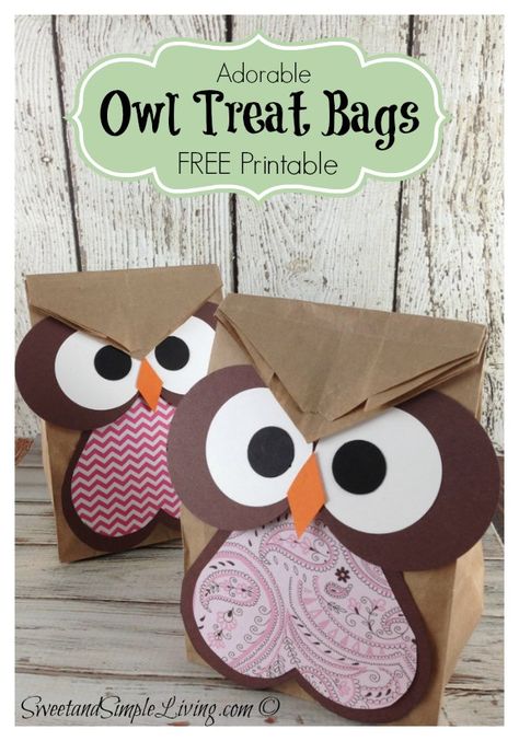 Owl Treat Bags, Owl Treats, Fun Valentines Day Ideas, Paper Bag Crafts, Easy Treat, Kid Parties, Owl Birthday, Owl Party, Owl Theme