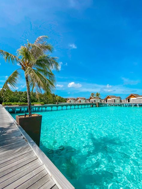 Underwater Restaurant, Maldives Resort, Maldives Island, Overwater Bungalows, Holiday Places, Dream Beach, Adventure Explore, Dream Travel Destinations, Dream Holiday