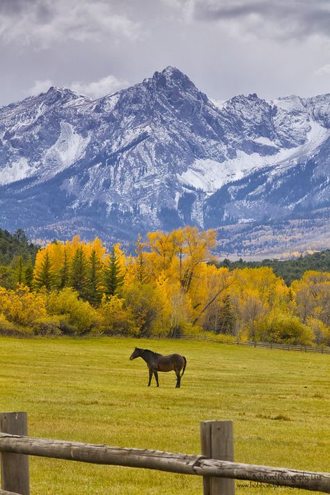 Places In The World, Beautiful Places In The World, A Horse, Most Beautiful Places, Beautiful Places, Most Beautiful, Horses, The World, Travel