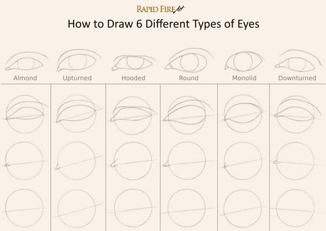 Tutorial: Drawing Different Eye Shapes It all starts with a simple circle! Visit the tutorial for more steps and learn how to draw a perfect iris. http://rapidfireart.com/2017/01/19/how-to-draw-different-eye-shapes/ Iris Drawing, Different Types Of Eyes, Eye Anatomy, Realistic Eye Drawing, Eye Drawing Tutorials, Eye Sketch, Eyes Drawing, Types Of Eyes, Anatomy Drawing