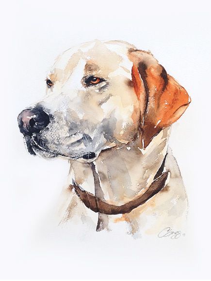 Portraits Pop Art, L'art Du Portrait, 강아지 그림, Art Aquarelle, Watercolor Dog, Dog Paintings, Cat Portraits, Cat Painting, Watercolor Portraits Cat Painting Watercolor, Portraits Watercolor, Royal Pet Portrait, Portraits Pop Art, 강아지 그림, Watercolor Dog, Dog Paintings, Cat Portraits, Painting Watercolor